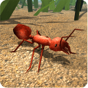 ģios-Fire Ant SimulatorԽv2.0