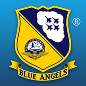 ʹؼжģⰲ׿-Blue Angels Aerobatic Simv1.2.0