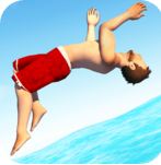 ɱˮ-Flip Diving v2.7